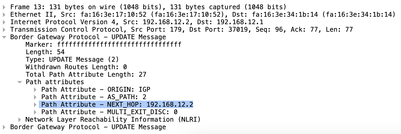 wireshark1